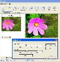 RiDoc 1.5